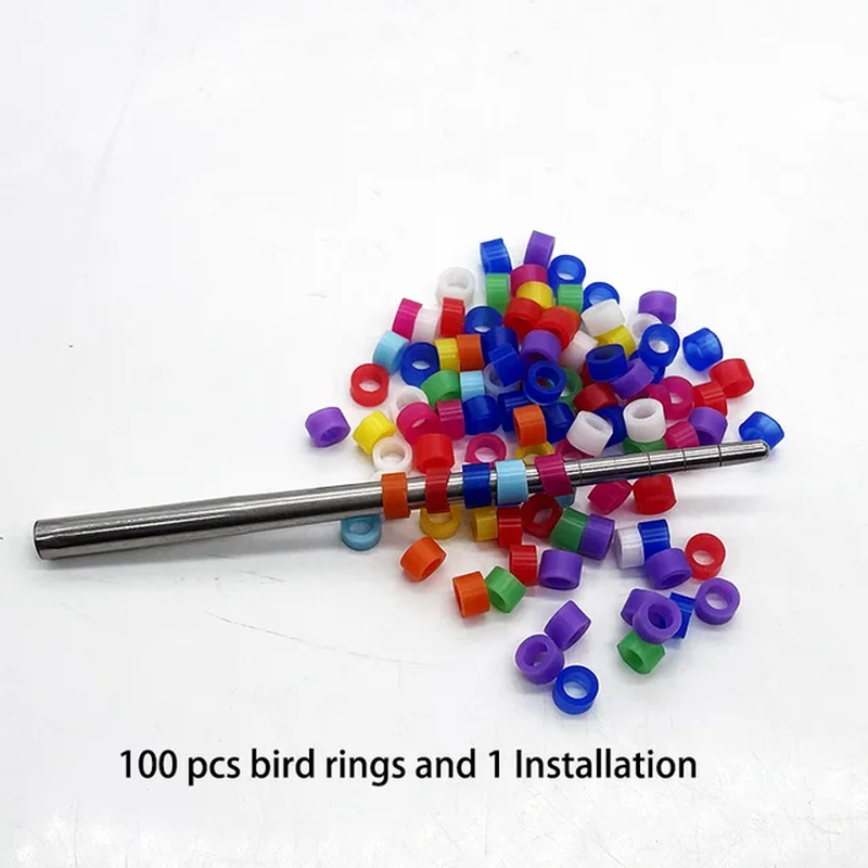 100Pcs Bird Ring Leg Bands for Parrot Finch Canary Gouldian Diameter Various