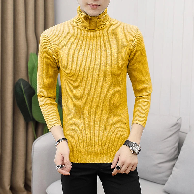 Autumn and Winter New Men's Turtleneck Sweater Male Casual All-match - Bonnie Lassio