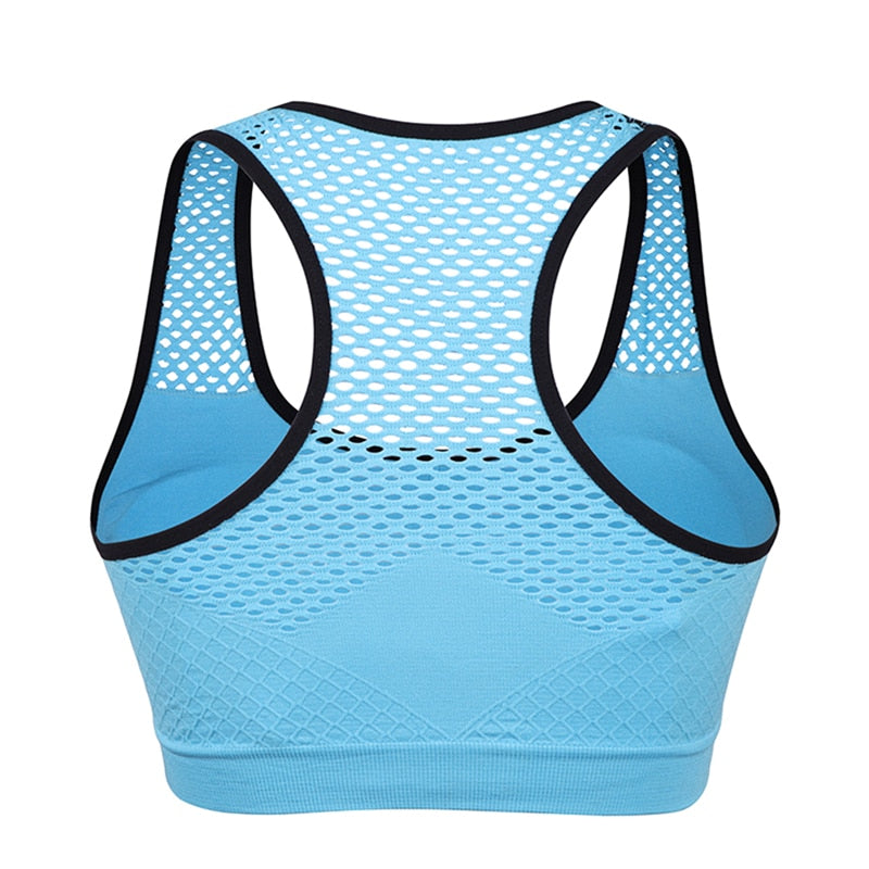 Mesh Sports Bra Hollow Out Sport Top Seamless Fitness Yoga Bras Women Gym Top Padded Running Vest Shockproof Push Up Crop Top - Bonnie Lassio