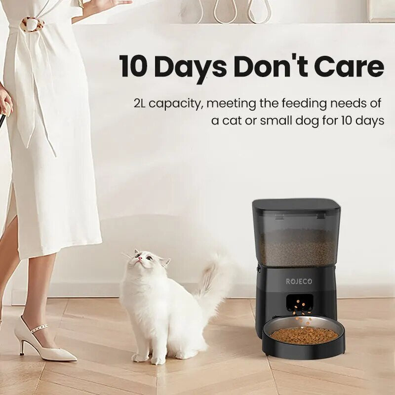 Automatic Pet Feeder Button Version Cat Food Dispenser Smart Control